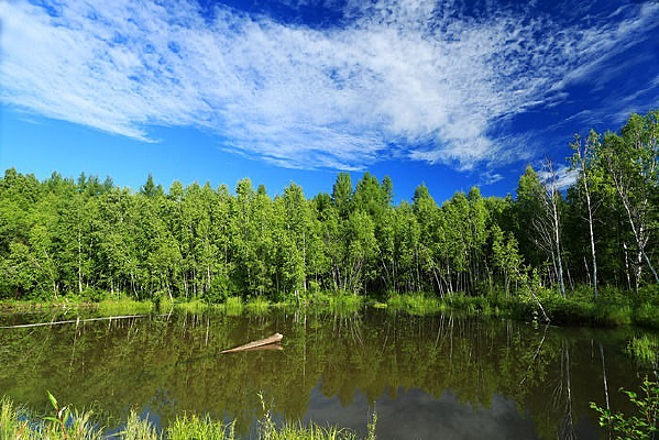 ���պ����羰