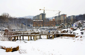 ���ڱ�ѩ�����˵��˹����ϵ���