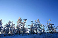 ����ɭ�ֶ���