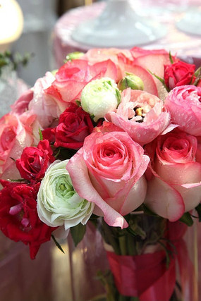 ������ɫ��õ�廨