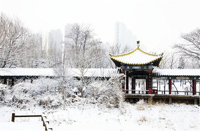 ѩ�е������볤ͤ