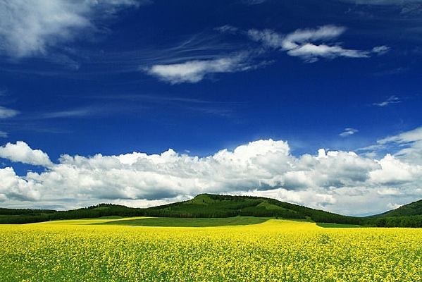 �Ͳ˻�������