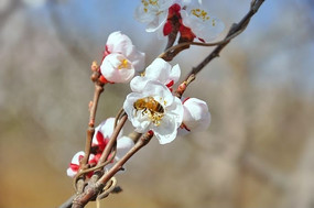 ��ȶ��˵���ľ