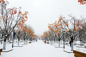 ��ѩ�ķ���