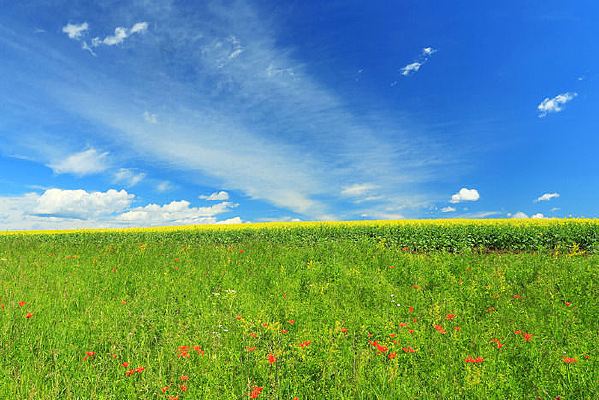 ��֮����