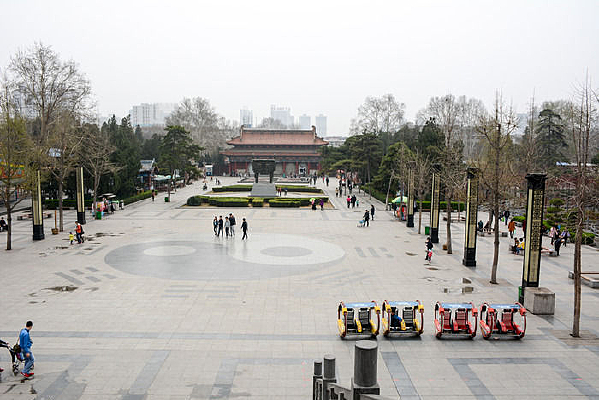 �ųǹ�԰����