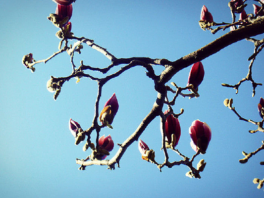 ��������ɫ����