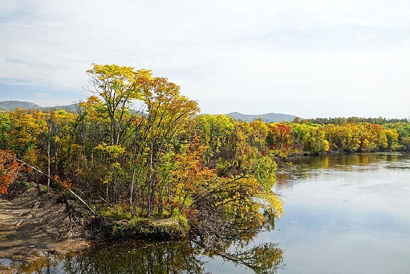 ��Ҷ����