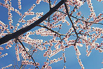 �ӻ�����