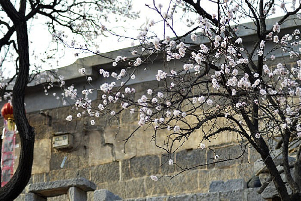 Ժ��ʢ���Ļ���