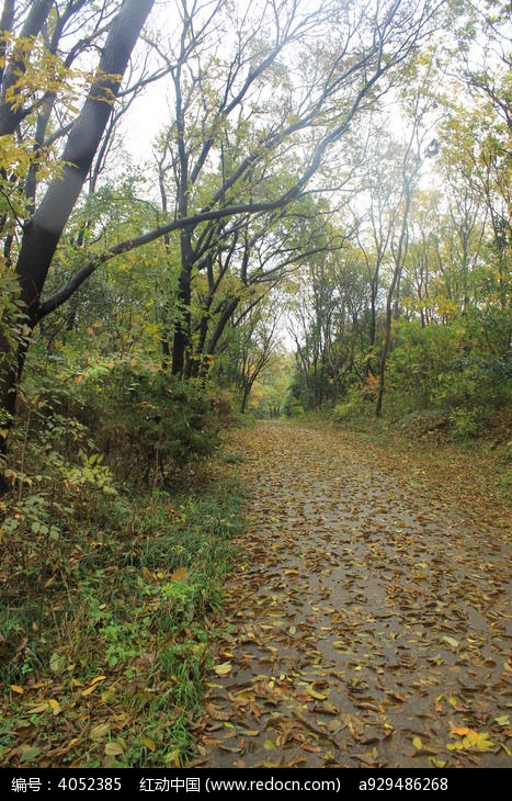 ѰѰ����ͼƬ