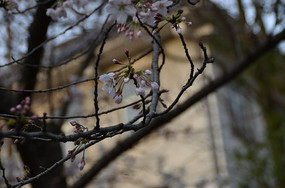 ӣ������