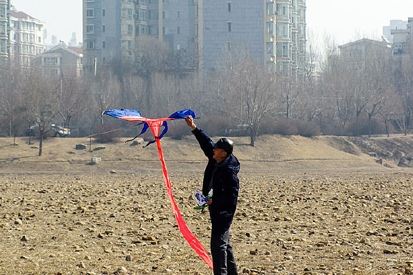 �ŷ��ݵ�����