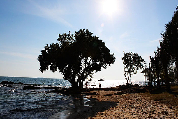 ������Ӱ