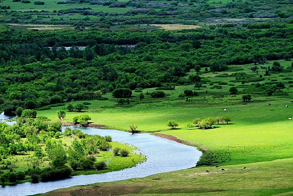 �žɳǱ��ż�