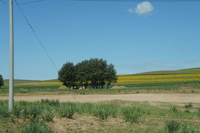 ����԰�Ļ�԰