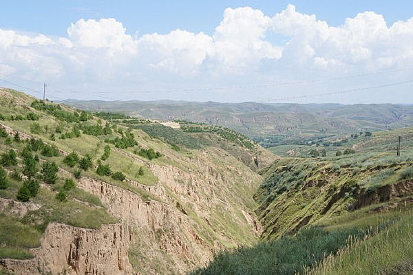 ������ɽ��