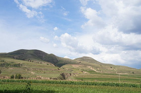 ����ɽ��