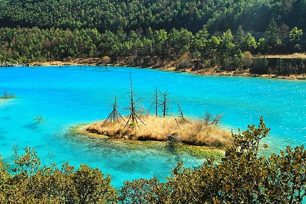 С���羰ѩ����