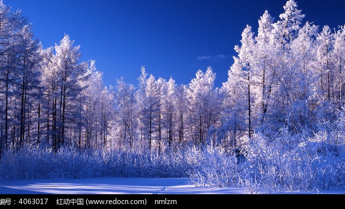 �ֺ�ѩԭ��ڡͼƬ