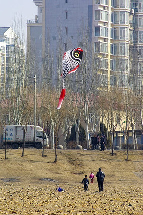 ������ݷ���