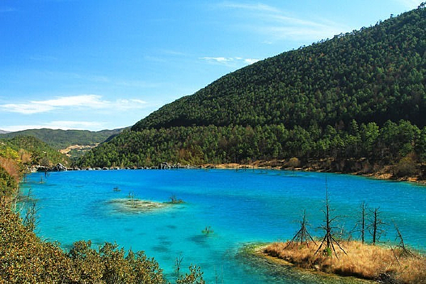 ���¹�����