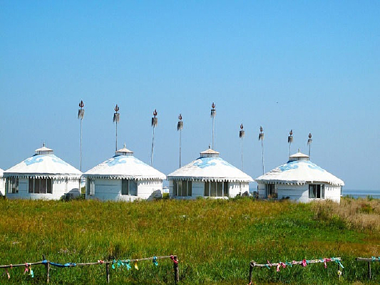 �ɹ��������