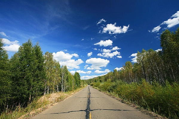 �������ɭ�ֹ�·