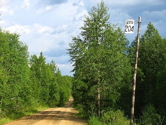 ͨ��ɭ�ֵ�·