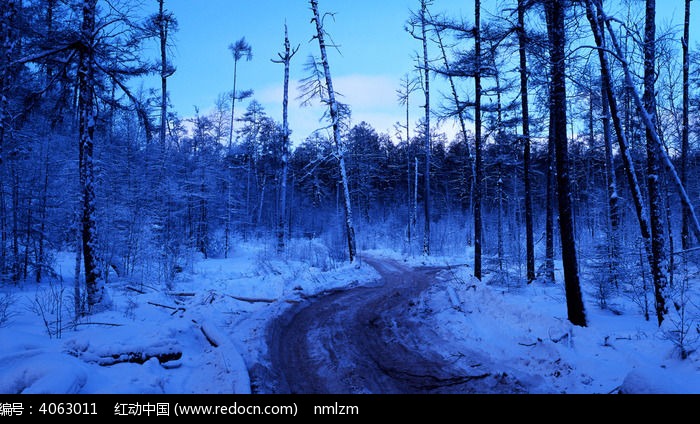 ���ѵ�ѩ��֮·ͼƬ