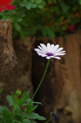 �ջ�����