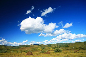 һ���޼����