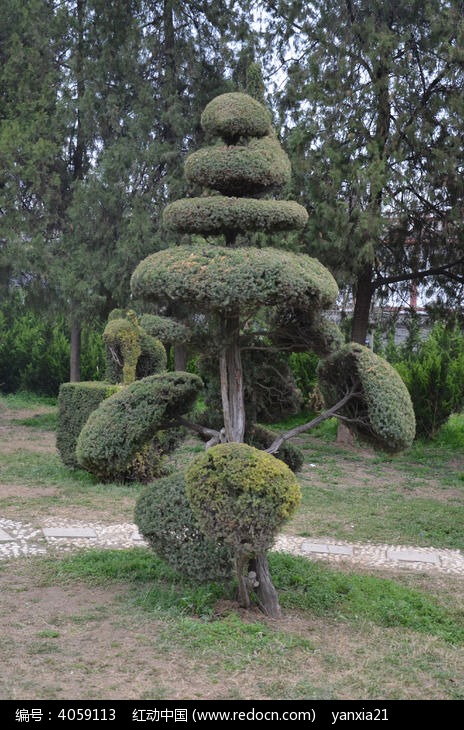 植物雕塑图片