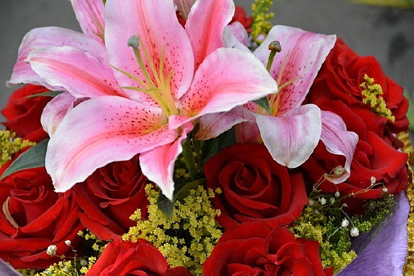 �ƻ����Ƕ�