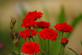 Ǿޱ���ͻ���