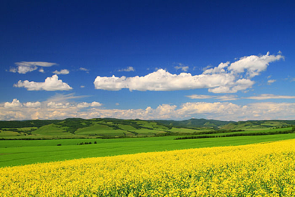 ������԰���