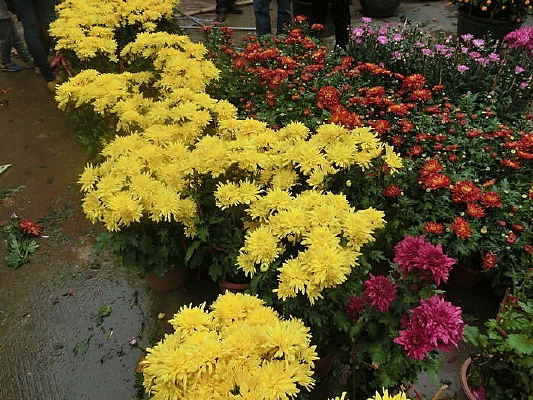 ���Դ���