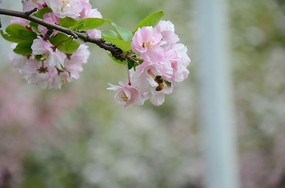 ���Ļ��۷�