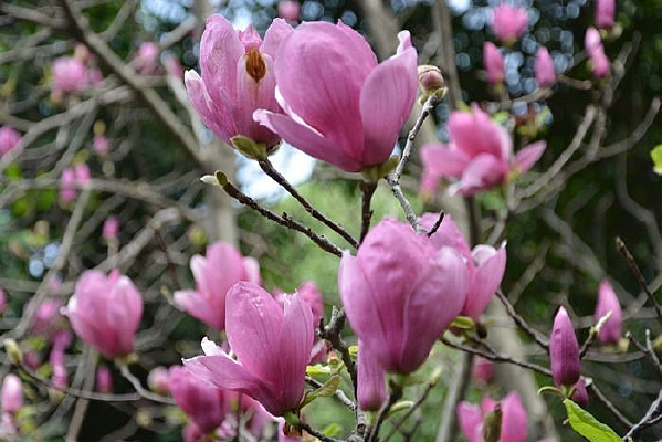 ��������д