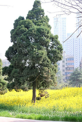 �������ͻ�