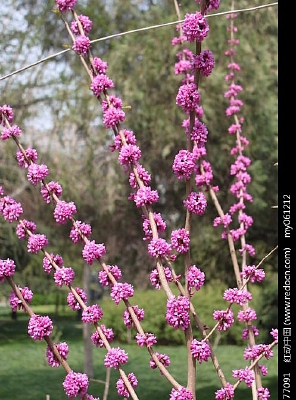 ���컨�̵�