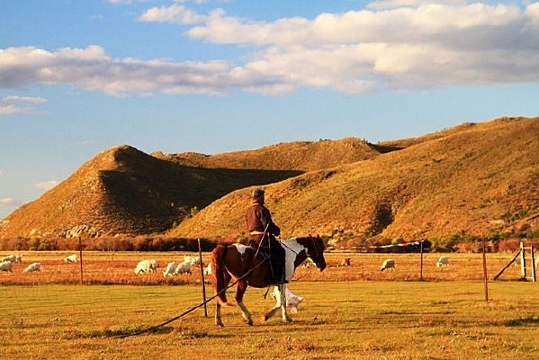 ��������