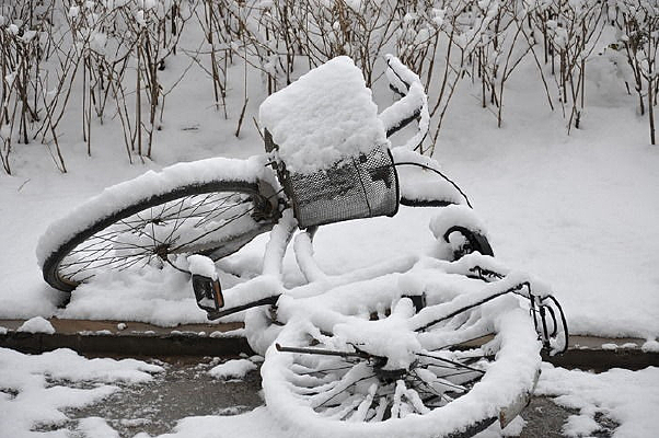 ���г�ѩ��