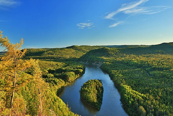 ���˰���ɭ��ԭʼɭ��