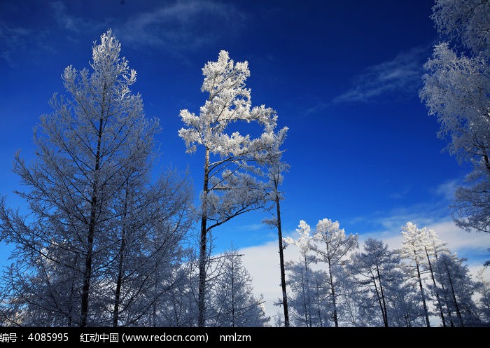 ��ѩ����ͼƬ