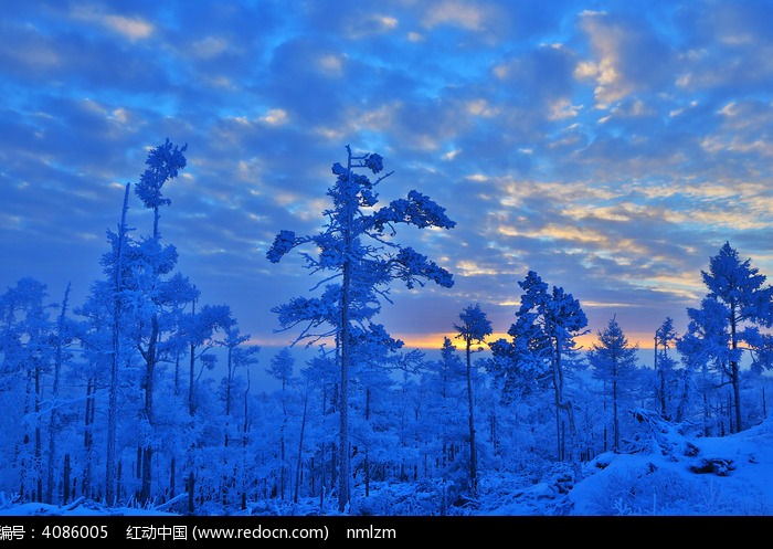 ����������ѩ��ͼƬ