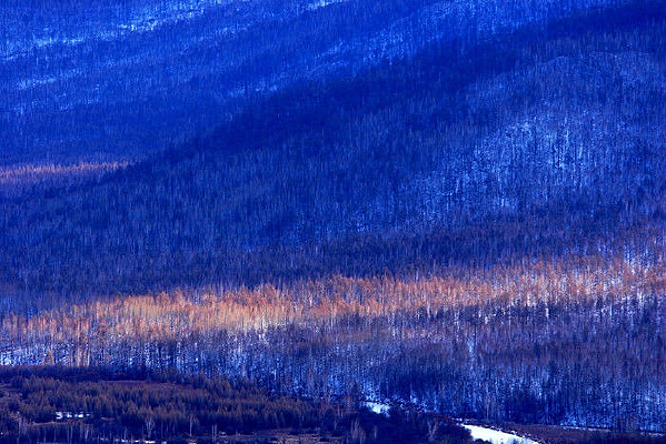 ����ɽ��