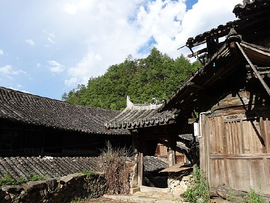 Ժ������