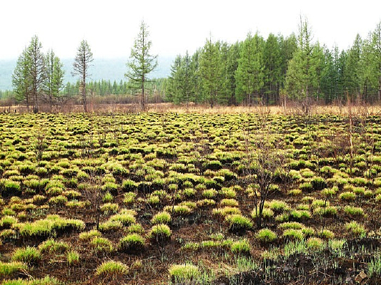 ���Ҽ�ʪ��