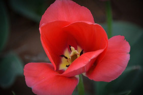 ���ӻ���